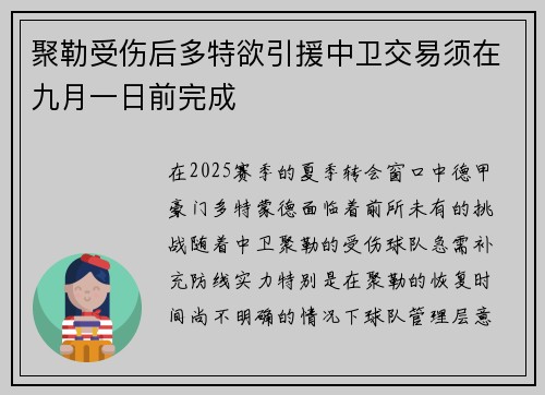 聚勒受伤后多特欲引援中卫交易须在九月一日前完成